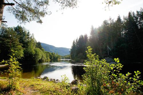 un fiume in mezzo a una foresta di Hegna Camping a Seljord