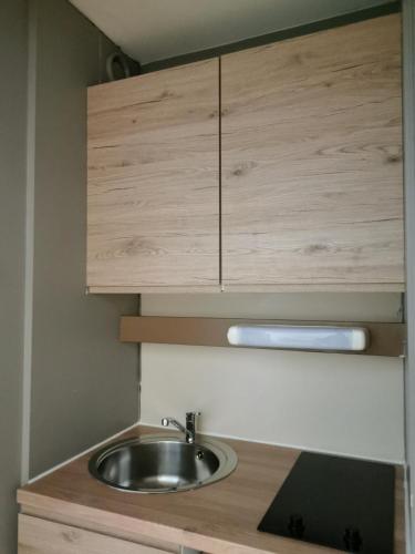 eine Küche mit Spüle und Holzschränken in der Unterkunft Studio Langstross, Petite France, Hypercentre, Strasbourg in Straßburg