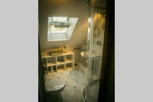 a bathroom with a shower and a sink and a toilet at Les Gîtes du Gouélou in Callac