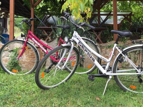 Jízda na kole v ubytování VÁR-CAMPING nebo okolí