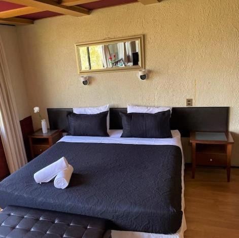 a bedroom with a large bed and a mirror at Tremo Santa María 281 in Santiago