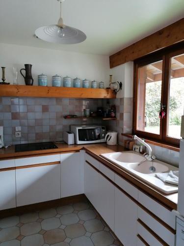 une cuisine avec un évier et un micro-ondes dans l'établissement Chalet Erminea, à Chamonix-Mont-Blanc