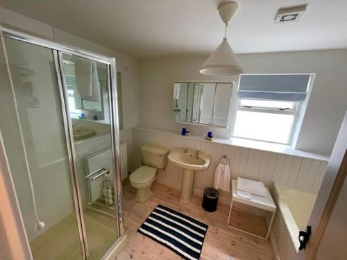 a bathroom with a shower and a toilet and a sink at The Cuan House in Strangford