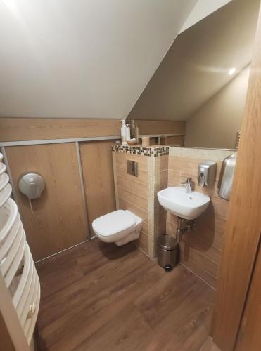 a bathroom with a toilet and a sink at Apartament & Spa Rosa in Istebna