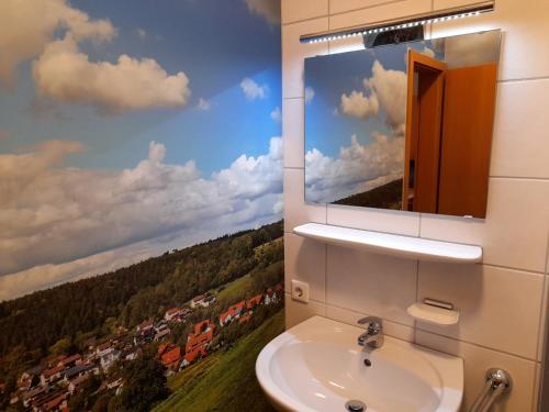 a bathroom with a mirror and a sink at Gasthof Goldener Hirsch in Bühlerzell