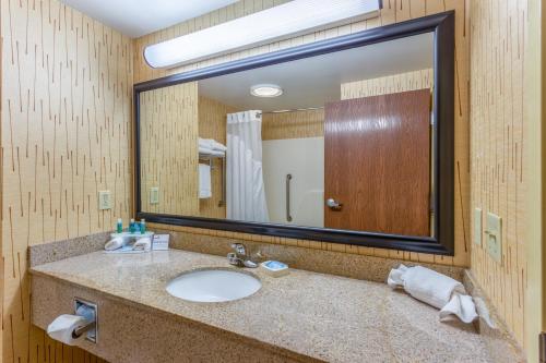 a bathroom with a sink and a large mirror at Holiday Inn Express Hotel & Suites Bowling Green by IHG in Bowling Green