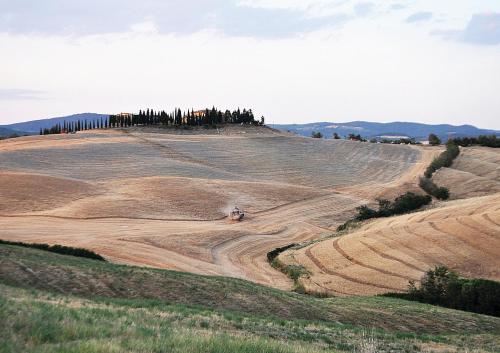 an open field with a tractor on a hill at Agriturismo Bonello in Pienza