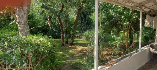 a view of a garden with trees and bushes at Tranquility in Shivpurī