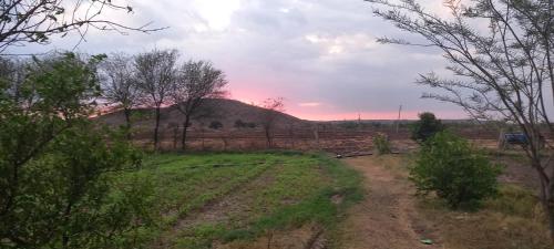 a dirt road in a field with a hill at Tranquility in Shivpurī