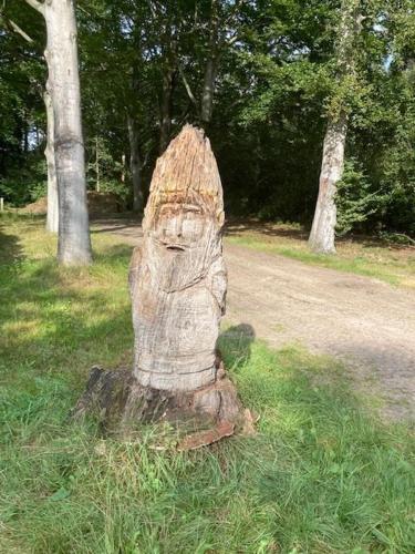 a statue of a face is sitting in the grass at Kom tot rust in The Forest in Putte