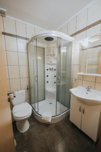 a bathroom with a shower and a toilet and a sink at Pensiunea Rau Sadului in Rau Sadului