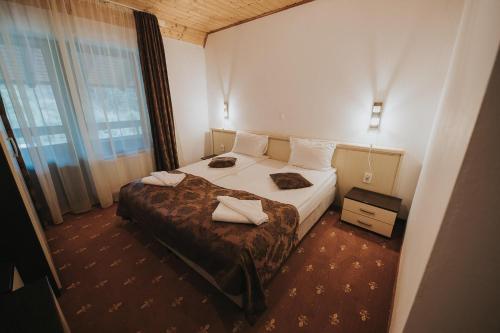 a hotel room with a bed and a window at Pensiunea Rau Sadului in Rau Sadului