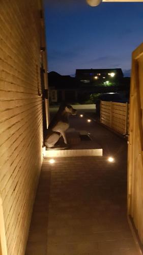 Design Apartments Haus Noge photo 81