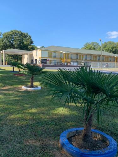 two palm trees in a yard in front of a building at Magnolia Inn Laurens in Laurens