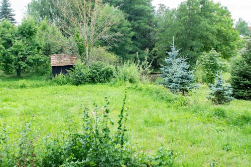 a field of grass with an old shed in the background at Ferienwohnung auf ehemaligen Bauernhof in der Nähe von Bamberg in Walsdorf