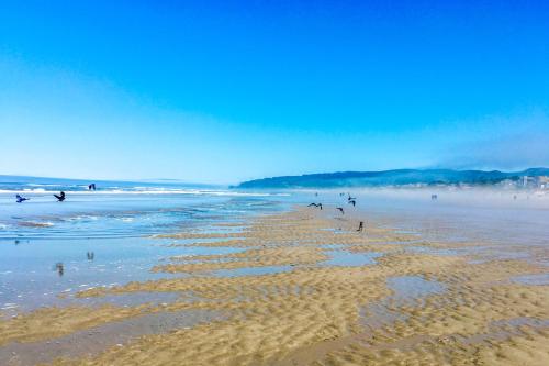 a beach with a bunch of people on the sand at Lofty Pelican in Florence