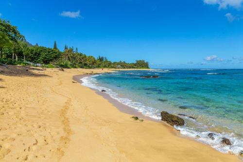 a sandy beach with blue water and trees on it at Camp Alealea 2 home in Hanalei