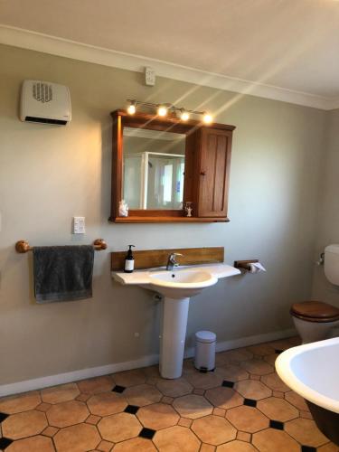 een badkamer met een wastafel, een spiegel en een toilet bij Ataahua Homestay in Feilding