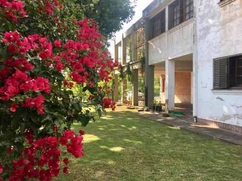 サン・サルバドール・デ・フフイにあるHostería Familiar El Ceiboの建物の隣の赤いバラの茂み