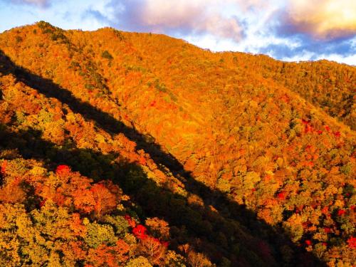 an autumn view of a mountain with trees at Lake Side Nikko Hotel in Nikko
