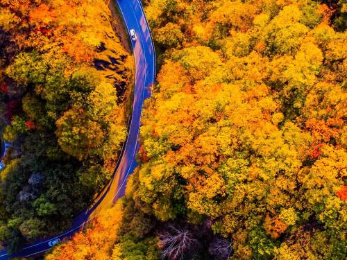 an aerial view of a road and autumn trees at Lake Side Nikko Hotel in Nikko