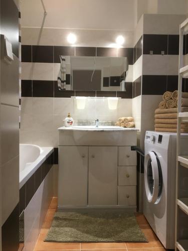 a bathroom with a sink and a washing machine at Apartment Vltava Prague in Prague