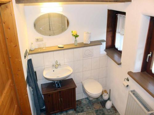 ein Badezimmer mit einem Waschbecken, einem WC und einem Spiegel in der Unterkunft Ferienwohnung Koppelblick in Pfarrweisach