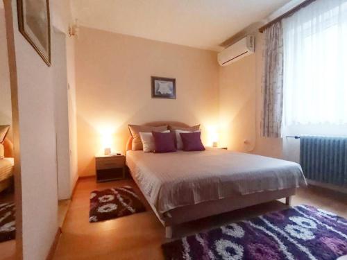 a bedroom with a bed and a window and a rug at Sandrea Studio Apartment in Subotica
