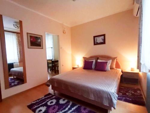 a bedroom with a bed with purple pillows and a mirror at Sandrea Studio Apartment in Subotica