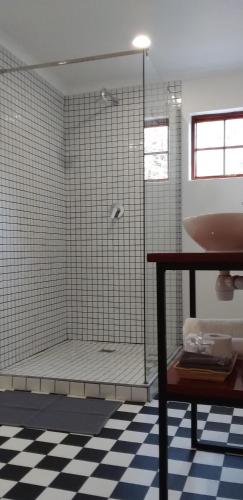 a bathroom with a shower and a sink at The Gate Guesthouse in Clarens
