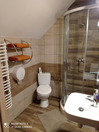 a bathroom with a toilet and a shower and a sink at Zajazd nad Sanem in Jarosław