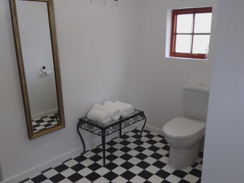 a bathroom with a toilet and a mirror at The Gate Guesthouse in Clarens