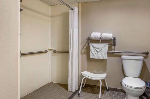 a bathroom with a toilet and a shower at Comfort Inn Edison - New Brunswick in Edison