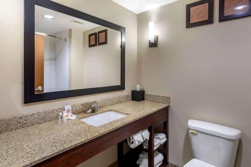 a bathroom with a sink and a mirror and a toilet at Comfort Suites Manchester near Arnold AFB in Manchester