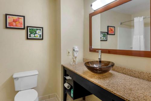 Foto dalla galleria di Comfort Inn & Suites a Canton