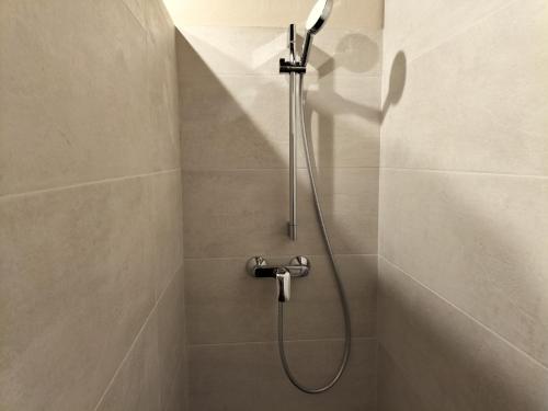 a shower with a shower head in a bathroom at Cal Teler-Benedicta in Olopte