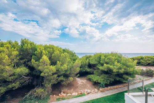 an aerial view of trees and the ocean at Iberostar Waves Cala Millor - Adults Only in Cala Millor