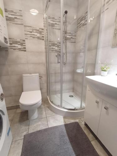 a bathroom with a shower and a toilet and a sink at Apartament Leśny in Lubin