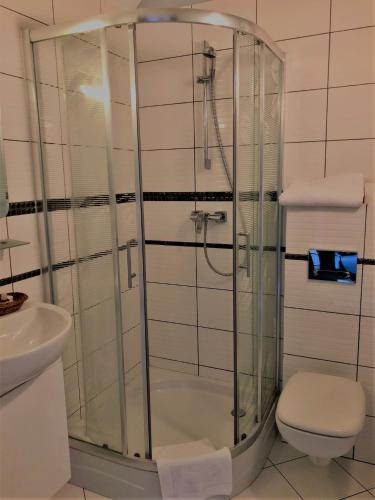 a bathroom with a shower with a toilet and a sink at Villa Riccona in Bronisze