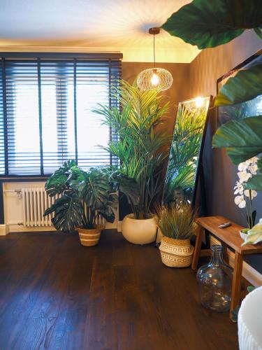 a living room with potted plants and a window at Design Hotel ALPENLIEBE - - - - Boutique-Flair - - - - in Inzell