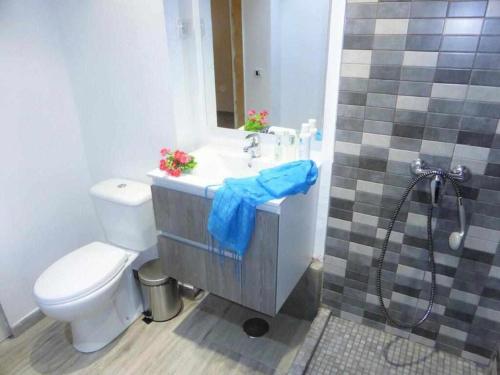 コラレホにあるApartamento Lolaのバスルーム(トイレ、洗面台、シャワー付)