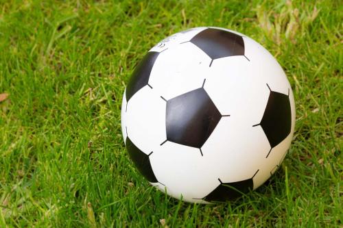 a black and white soccer ball sitting on the grass at Ferienhaus Schilcherland in Hochneuberg