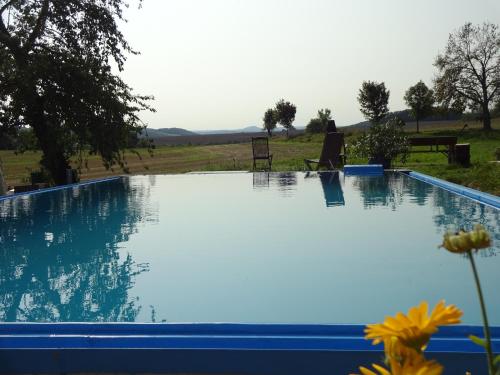 a blue swimming pool with a person sitting in a chair next to it at Alte Scheune Rietzschelhof in Müglitztal