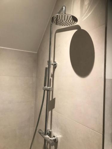 a shower with a shower head in a bathroom at Saromaja B&B / Vakantiehuisje in Ambt Delden