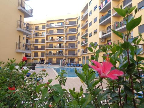 an apartment complex with a swimming pool and a pink flower at Alto dos Navegantes in Armação de Pêra