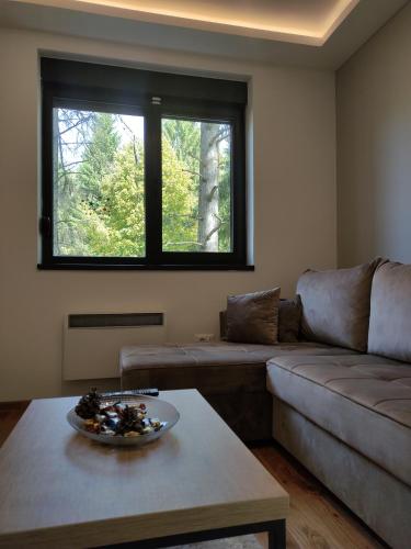 Χώρος καθιστικού στο Apartman 23 Titova vila