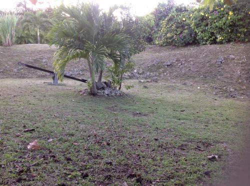 Ein Garten an der Unterkunft Location de meublés