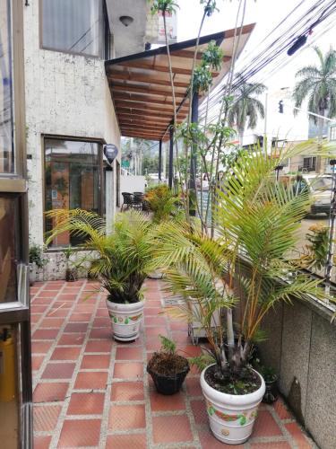 a group of potted plants sitting on a patio at HOTEL COSTA DEL SOL FUSAGASUGa in Fusagasuga
