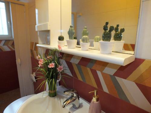 bagno con lavandino e specchio con cactus di Casa Fronte Mare a Marina di Mancaversa