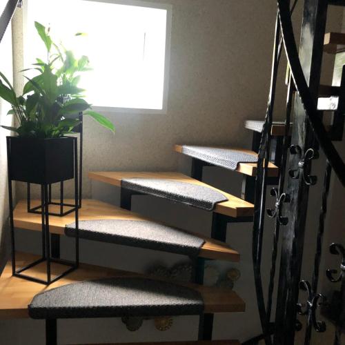 a set of stairs with a potted plant on them at Ferienwohnungen Margot in Iserlohn